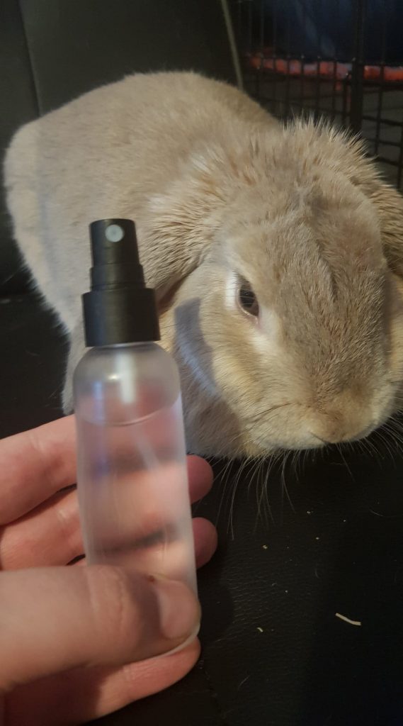 Misting bottle to cool rabbit down