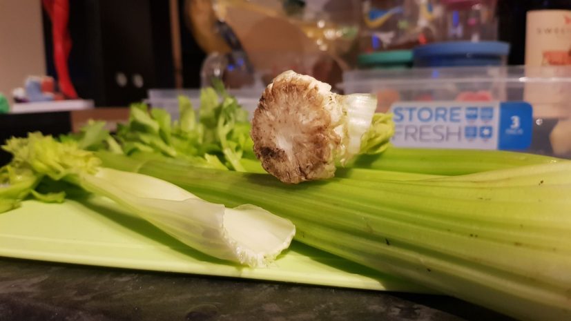 Can Rabbits Eat Celery