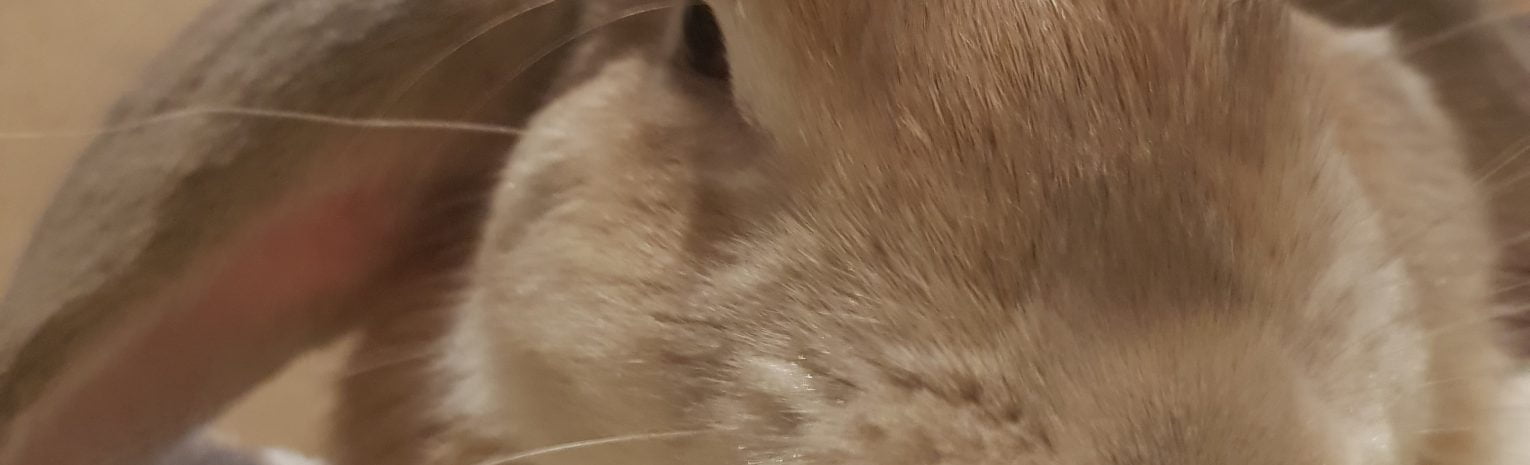 20191122 070947