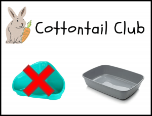 What Litter Tray should I use for my Rabbit?