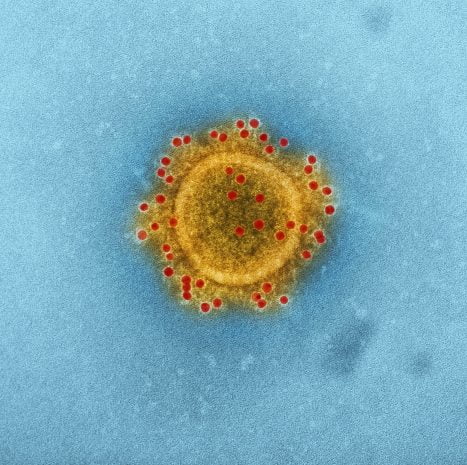 cdc BbP7rqIGB3c unsplash
