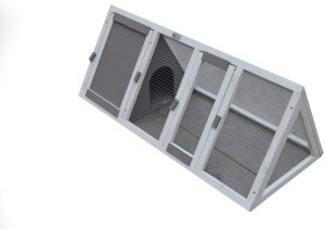 Apex Run for Rabbits