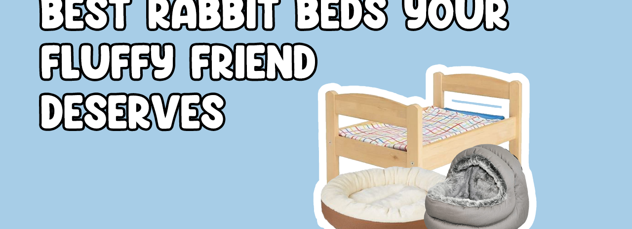 Best Beds for rabbits