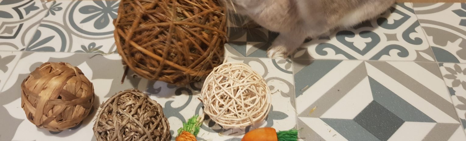 Bunny Subscription Box