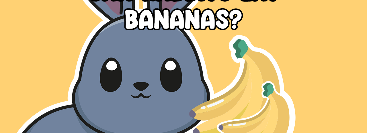 Can Rabbits Eat Bananas
