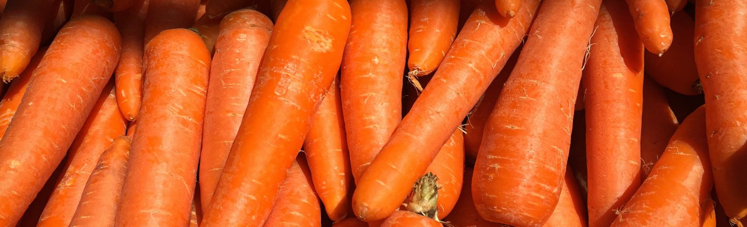 Can Rabbits Eat Carrots