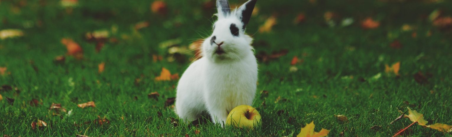 noah silliman BzHNKFUGHh0 unsplash scaled e1641159835296