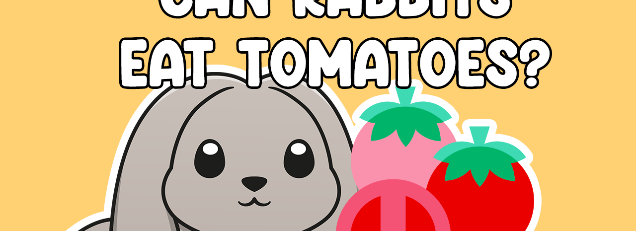 Can Rabbits Eat Tomatoes?