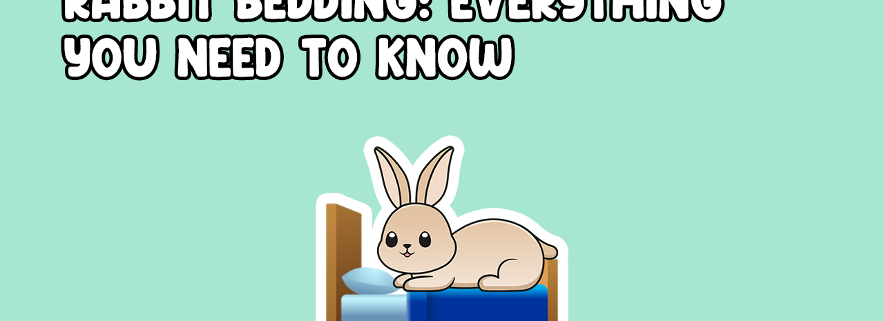 Rabbit Bedding