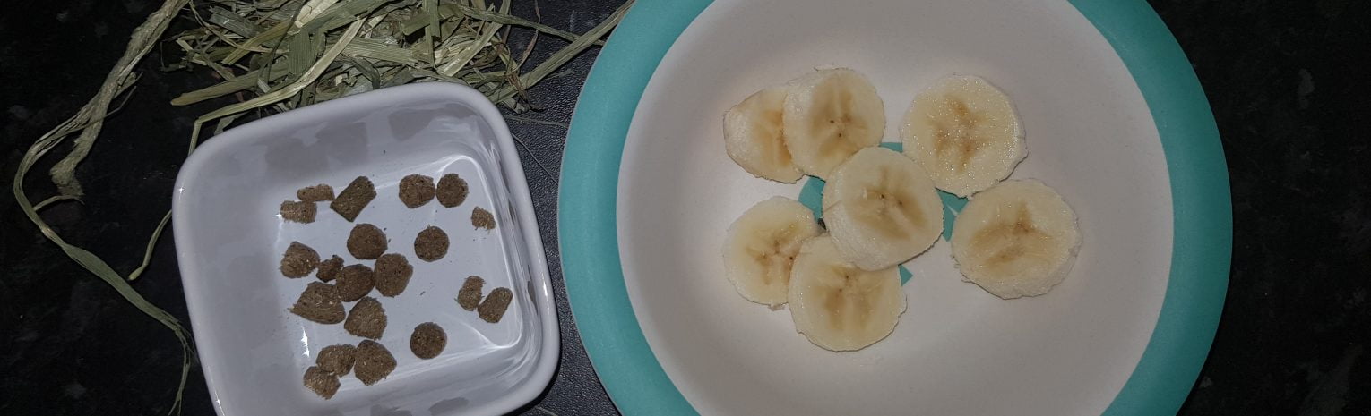 Banana Skewer Ingredients for rabbits