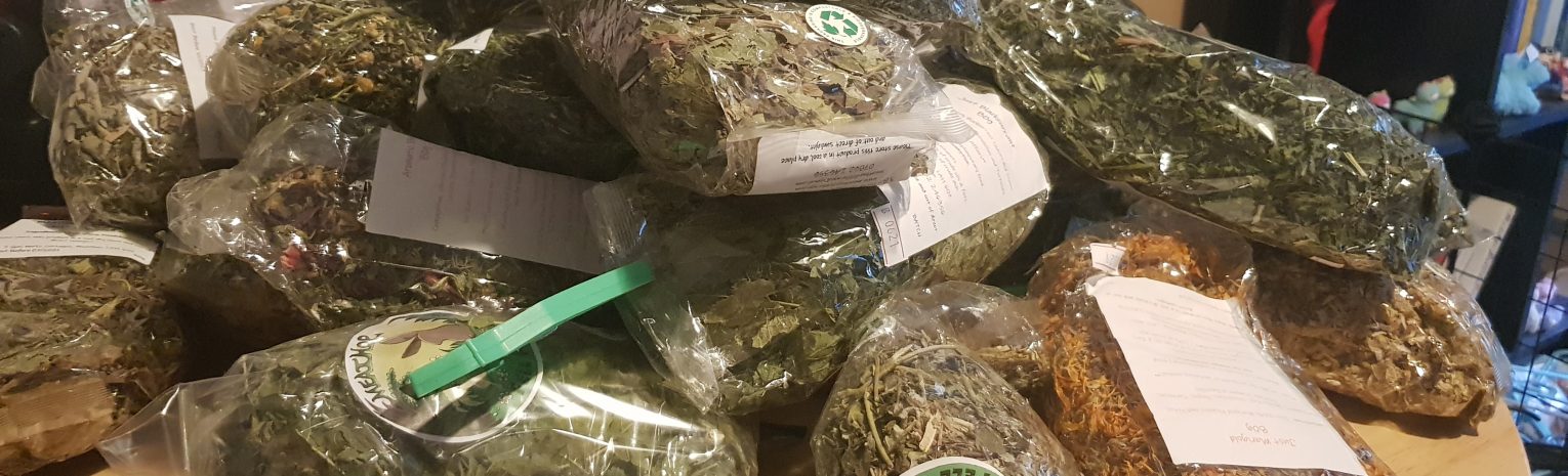 Healthy Rabbit Treats