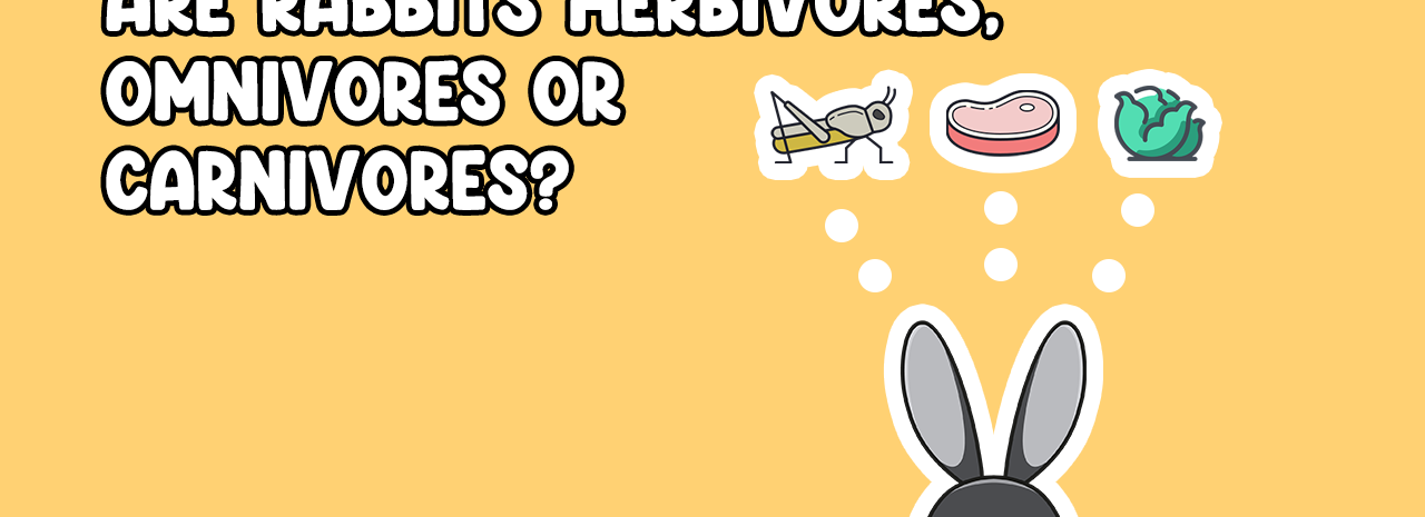 Are Rabbits Herbivores