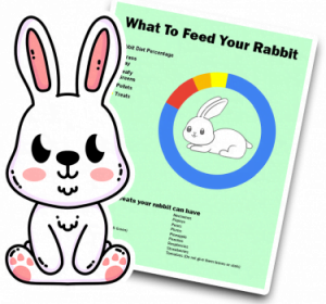 What to feed a rabbit downloadable sheet