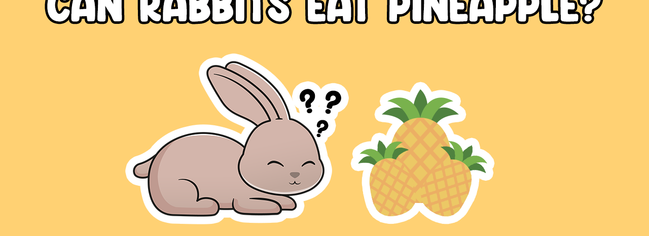 Can Rabbits Eat Pineapple