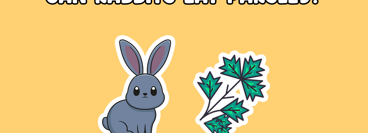 Can rabbits eat parsley
