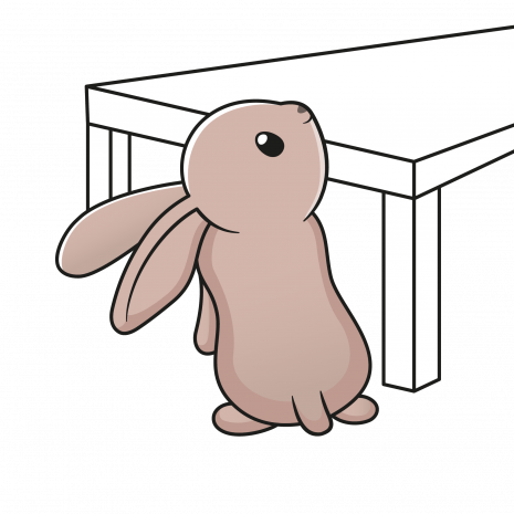 Indoor Rabbit Home