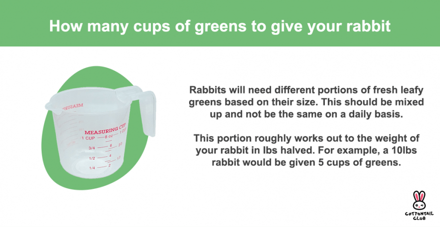 How many greens to give my rabbit