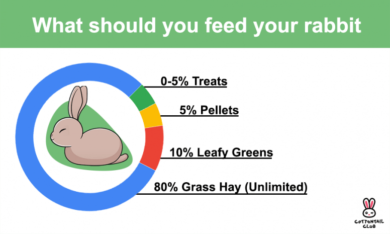 Rabbit Diet graph