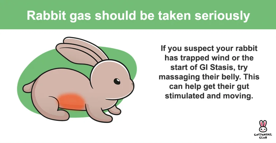 How to help with Rabbit Gas