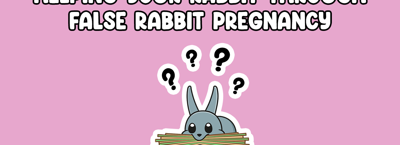 Helping your rabbit through a false pregnancy