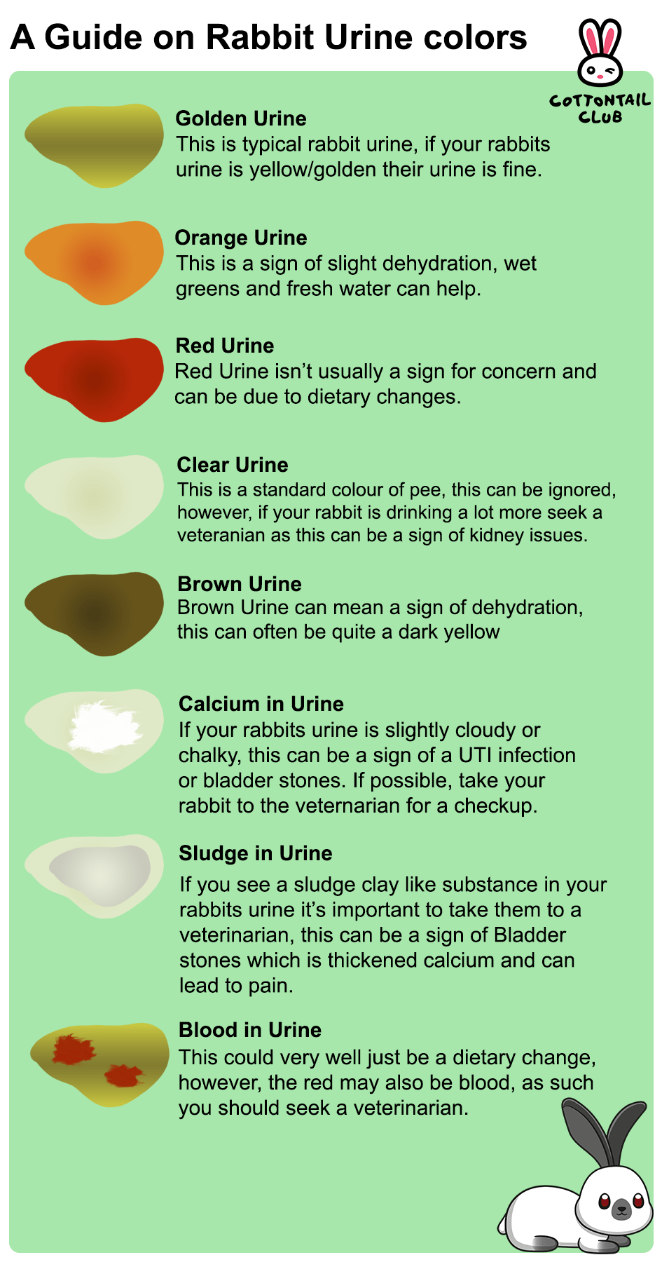 Rabbit Urine Color Chart