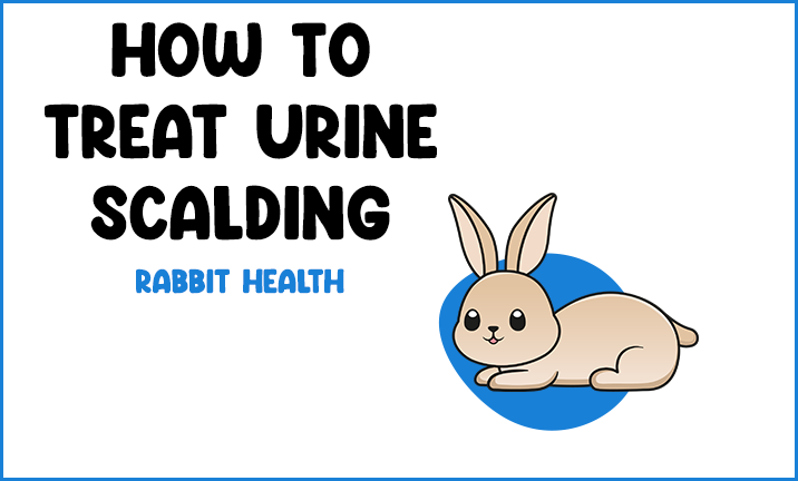 How to Treat Urine Scalding
