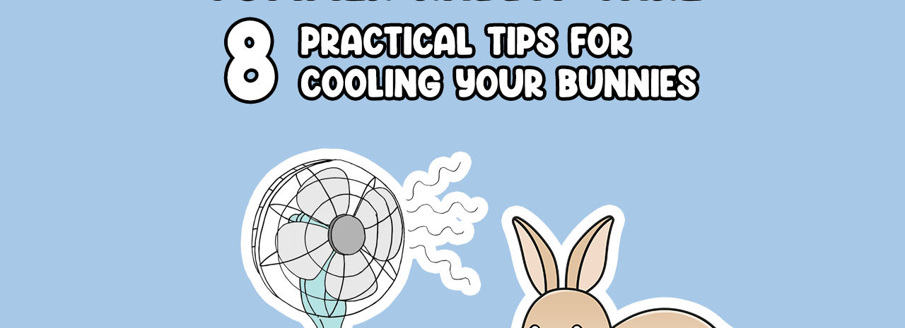 How to keep your rabbit cool