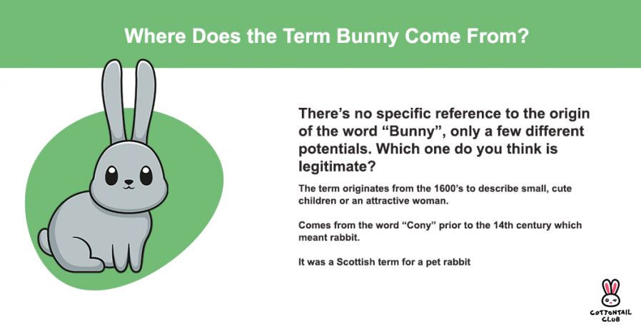 Where does the term bunny come from?