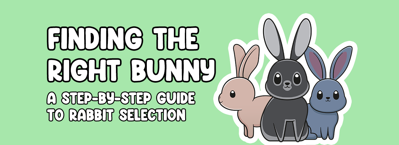 Finding the Right Bunny