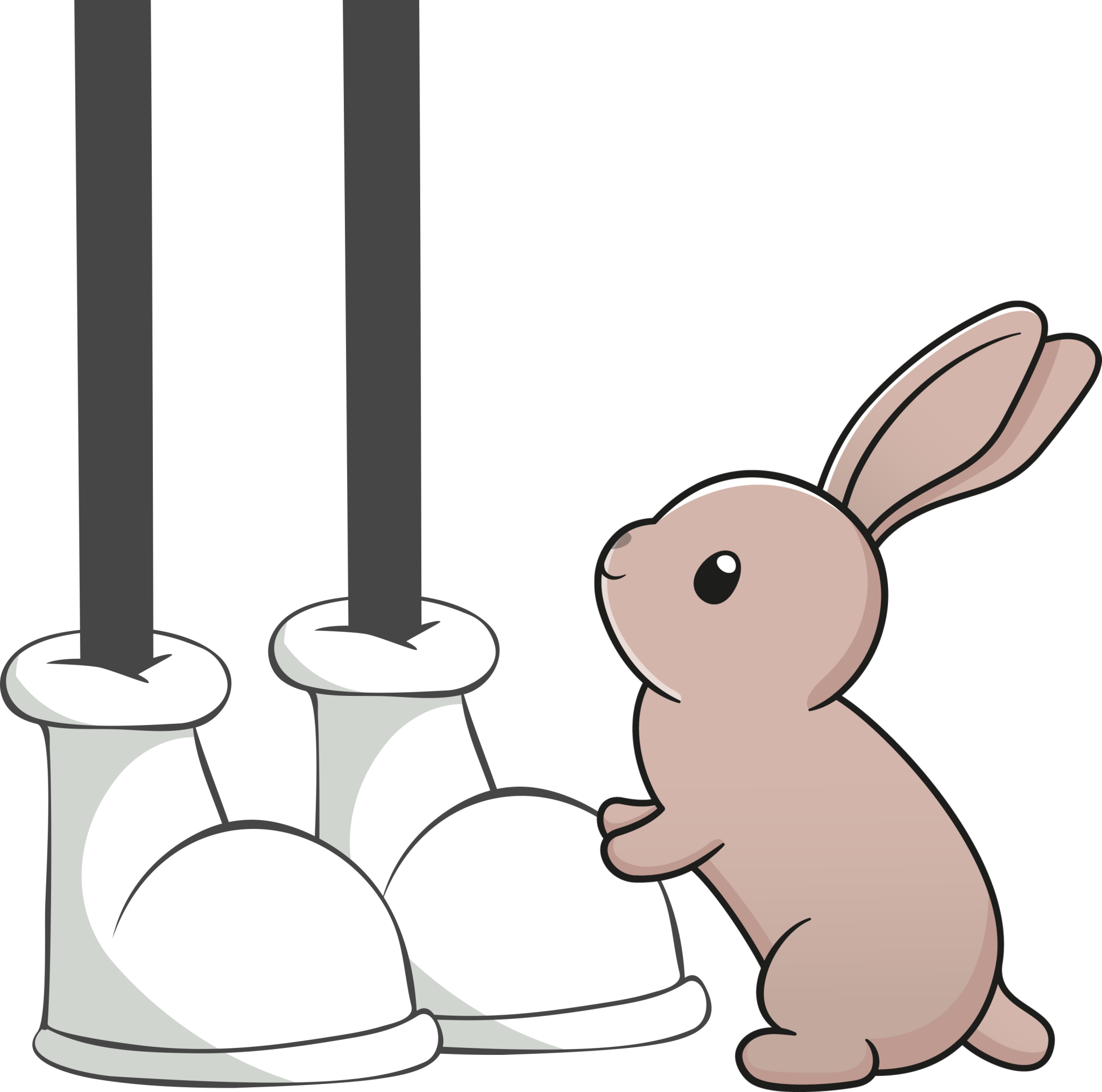 Busting Myths: Are Rabbits Truly Nocturnal? | Cottontail Club