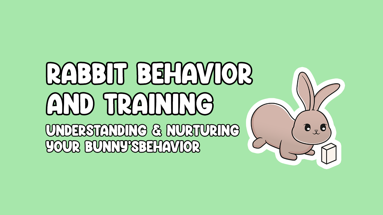 Rabbit Behavior and Training Understanding and Nurturing Your Bunny's
