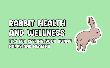 Rabbit Health and Wellness