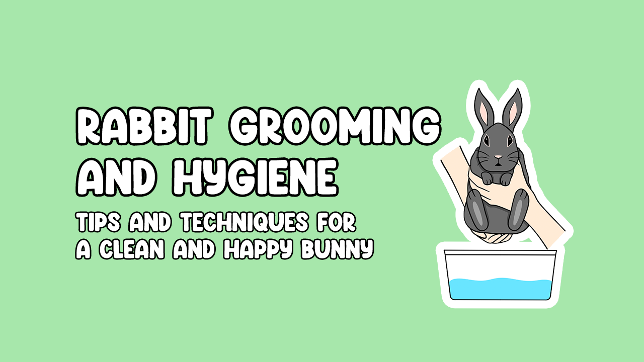 Rabbit Grooming and Hygiene: Tips and Techniques for a Clean and Happy Bunny