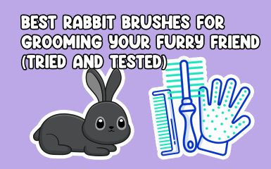 Best Rabbit Brushes