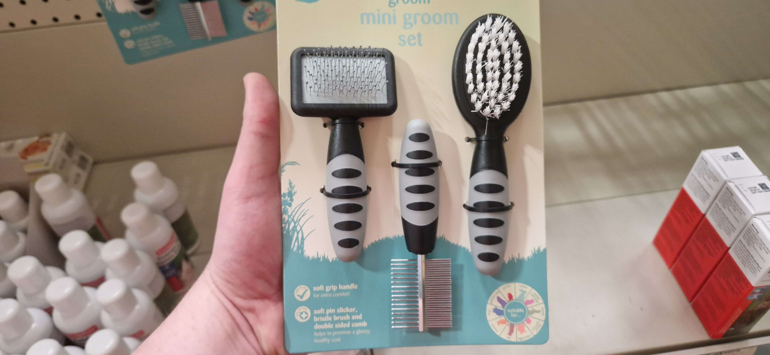 Best Rabbit Brushes For Grooming Your Furry Friend [Tested