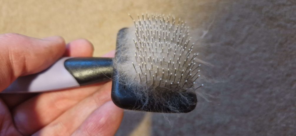 Rabbit Brush with fur in it 
