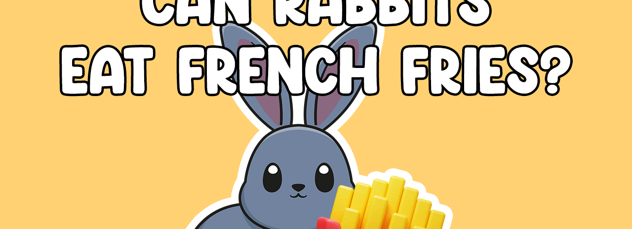 Can rabbits eat French fries