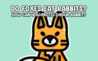 Do Foxes Eat Rabbits