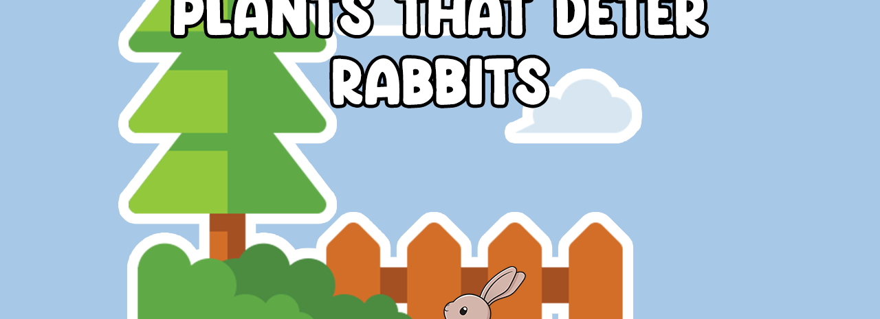 Plants that deter rabbits