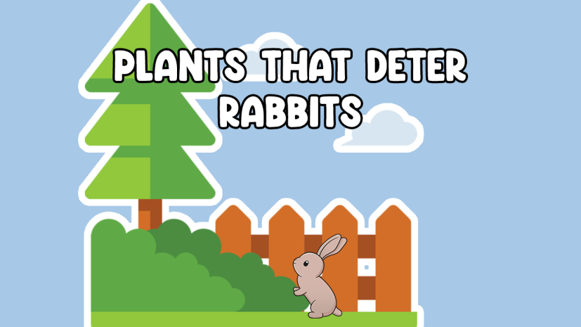 Plants that deter rabbits