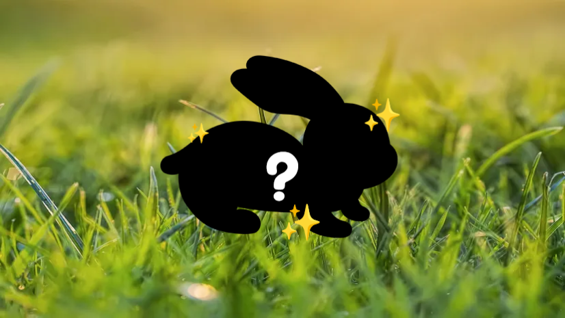 Rare Black Rabbit