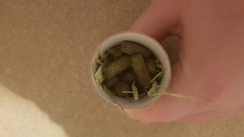 Cardboard tube with rabbit pellets inside it
