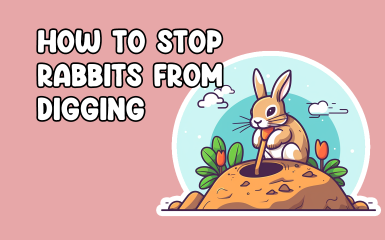 Stop rabbits from digging